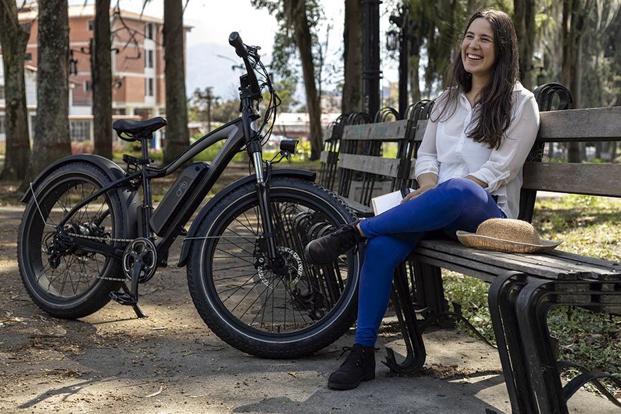 Bicicleta electrica Navacerrada