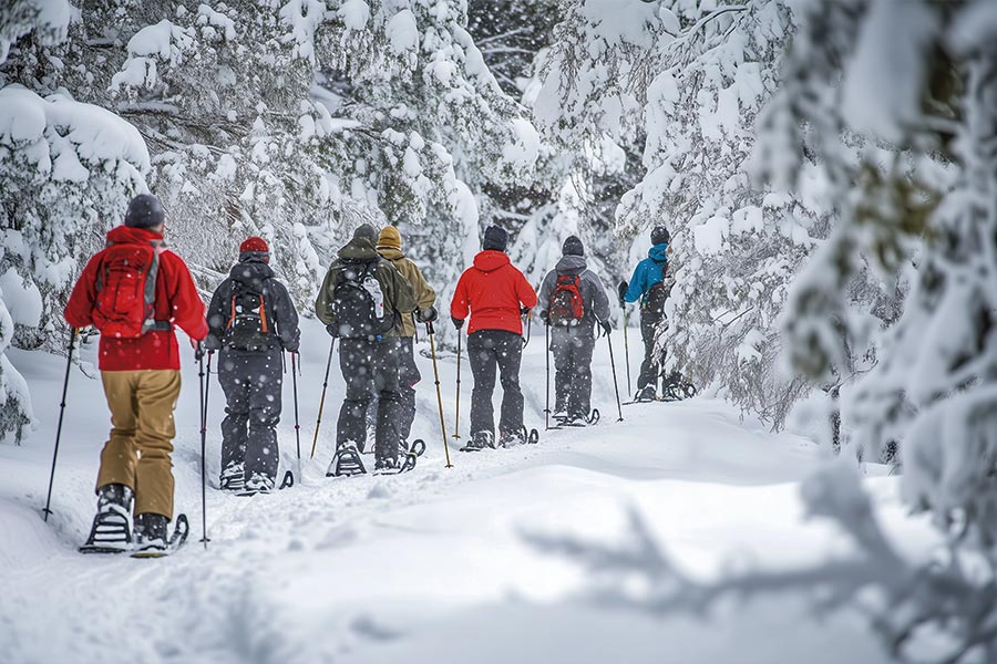 Grupo amigos travesia raquetas nieve